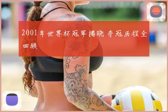 2001年世界杯冠军揭晓 夺冠历程全回顾