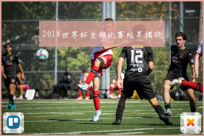 2018世界杯全部比赛结果揭晓
