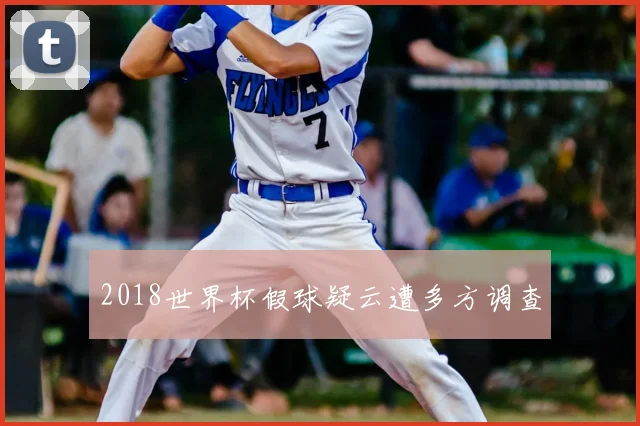 2018世界杯假球疑云遭多方调查